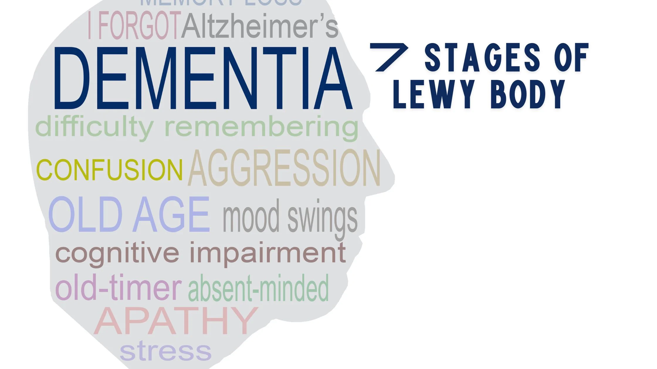 7 stages of lewy body dementia