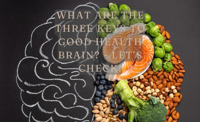 What are the three keys to good health brain? – Let’s Check!