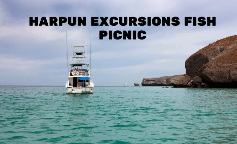 harpun excursions fish picnic