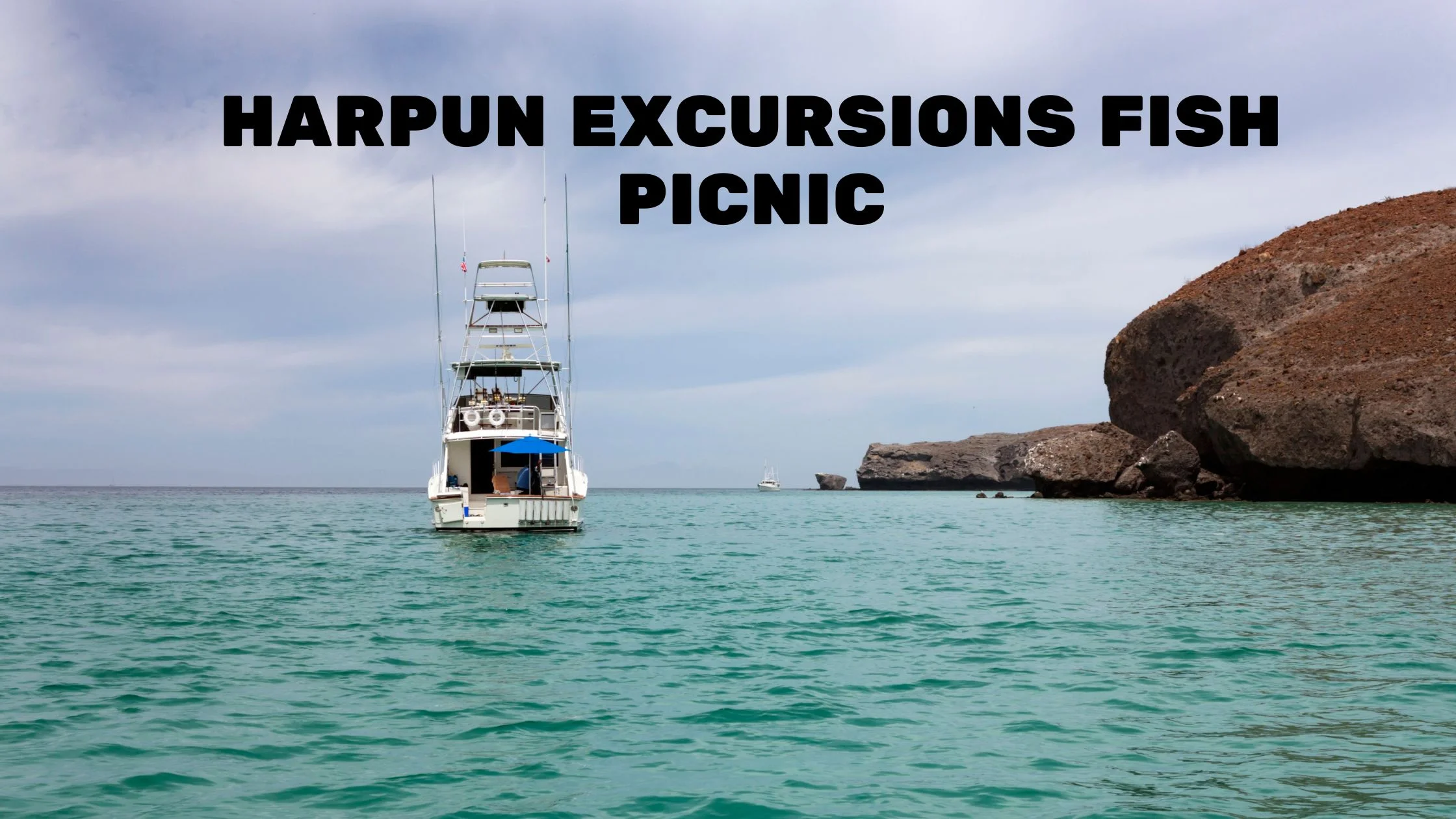 harpun excursions fish picnic